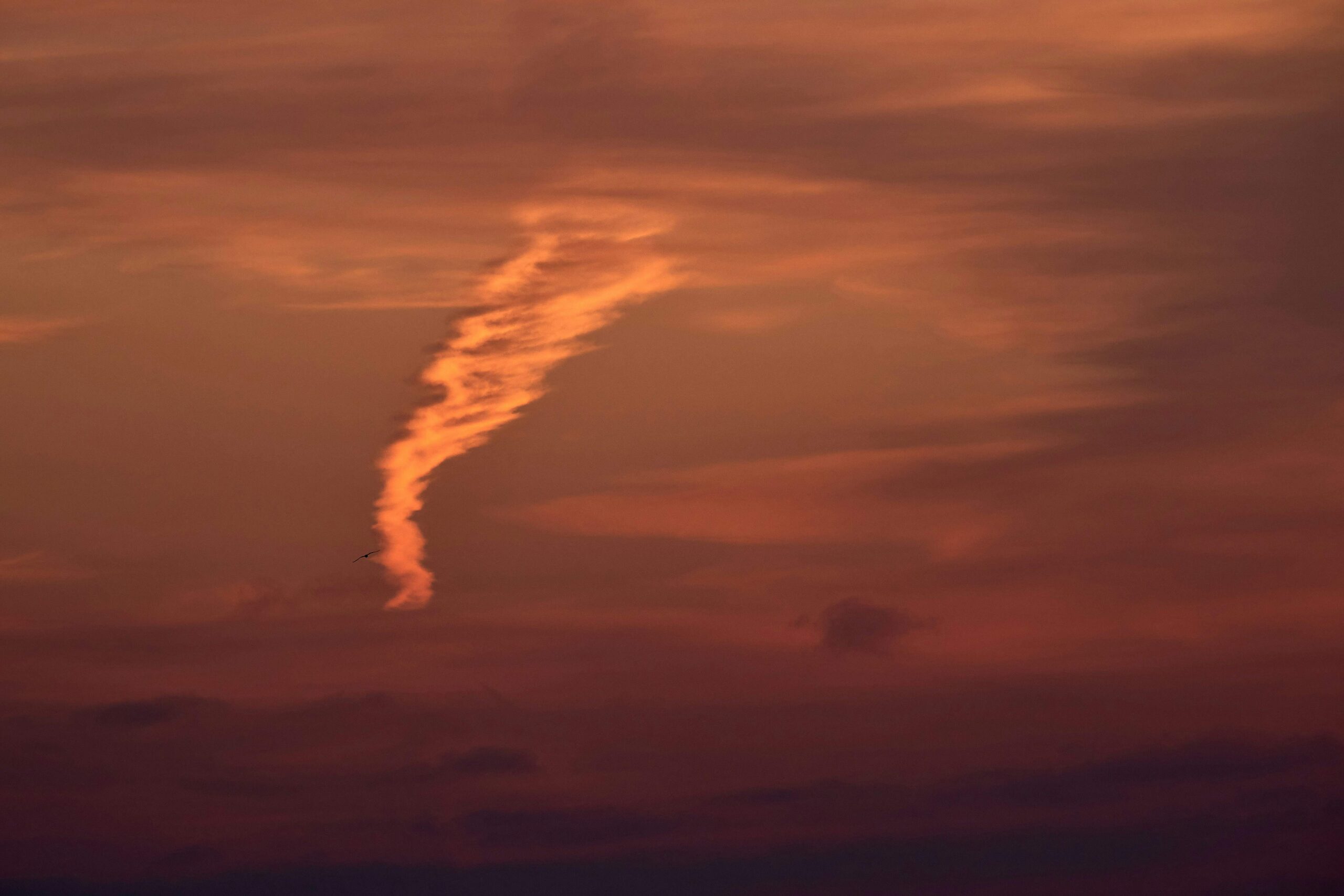 wolfgang-hasselmann-uzi5FwUeZkk-unsplash (1)